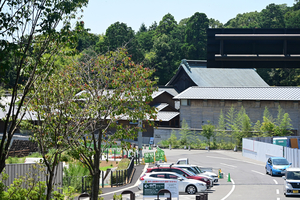 063_250818446 X900 竹林寺 高知県立牧野植物園 D50.jpg