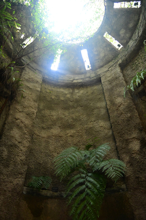 043_250818337 X900 高知県立牧野植物園 D50.jpg