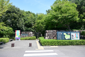 062_250818446 X900 正門 高知県立牧野植物園 D50.jpg