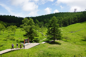 009_250713068 X900 入笠湿原 RX10M4.jpg