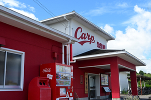 119_250819762 X900 天福球場 油津 D50.jpg