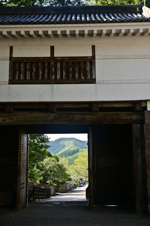 089_250819640 X900 〇飫肥城跡 D50.jpg