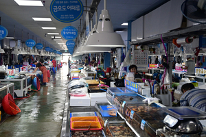 184_2508211145 X900 〇韓国麗水 海鮮市場 Z50.jpg