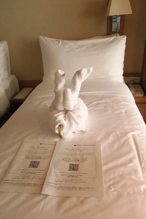 253_2508221559 X900 〇瀬戸内海 G7X.jpg