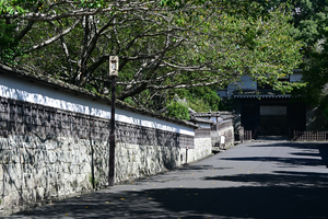 086_250819629 X900 〇大手門通り 飫肥  城下町 obi D50.jpg