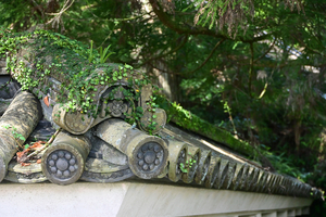 093_250819669 X900 飫肥城跡 D50.jpg