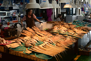 182_2508211137 X900 〇韓国麗水 海鮮市場 Z50.jpg