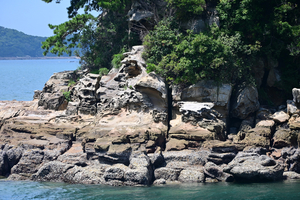 161_250820966 X900 九十九島遊覧船 夏雲 D50X.jpg