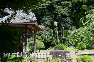 099_250819690 X900 〇飫肥城跡 D50.jpg