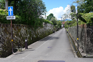 108_250819720 X900 〇鯉泳ぐ建造物群保存地区 D50.jpg