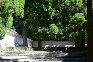 091_250819651 X900 飫肥城跡 D50.jpg