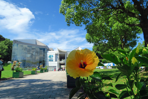 141_2508201055 X900 九十九島遊覧船乗り場 水族館 G7X.jpg