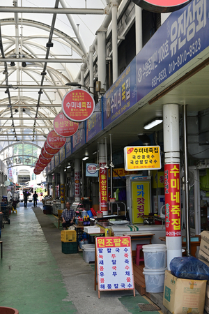 185_2508211146 X900 韓国麗水 海鮮市場 Z50.jpg