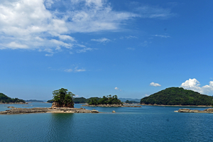 150_250820908 X900 〇九十九島遊覧船 夏雲 D50X.jpg