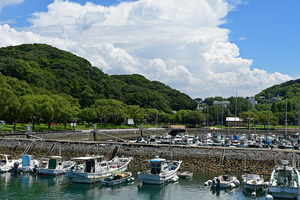 145_250820884 X900 九十九島遊覧船 佐世保へ D50X.jpg