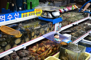 181_2508211133 X900 韓国麗水 海鮮市場 Z50.jpg