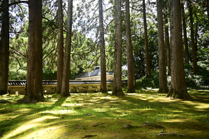 094_250819673 X900 〇飫肥城跡 D50.jpg