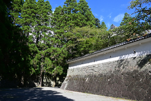 090_250819647 X900 〇飫肥城跡 D50.jpg