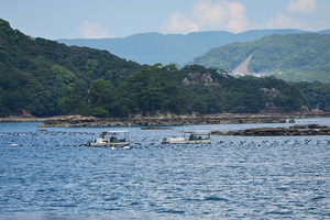 158_250820940 X900 ◎九十九島遊覧船 夏雲 D50X.jpg