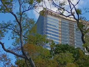 001_X900 IMG_20251017_110036.jpg