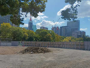 003_X900 IMG_20251017_110450.jpg