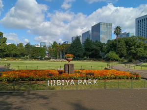 005_X900 IMG_20251017_110706.jpg