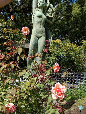 006_X900 IMG_20251017_110947.jpg