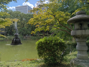 008_X900 IMG_20251017_111520.jpg