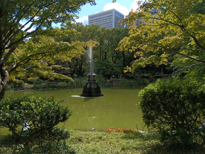 009_X900 IMG_20251017_111522_1.jpg