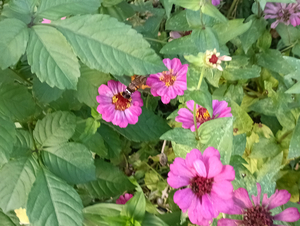 012_X900 IMG_20251017_163509_1.jpg