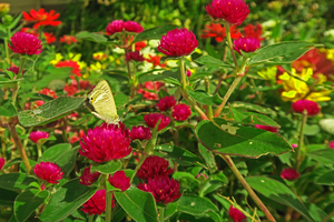 020_251028107 X900 〇保土ヶ谷区役所 G7x.jpg