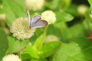 005_251002009 X900 〇保土ヶ谷区役所 G7X.jpg