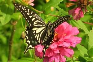 007_251002021 X900 ◎峰岡公園 G7X.jpg