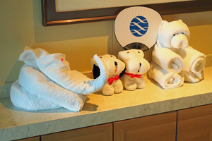 285_2508241706 〇タオルアート 7時45分 G7X.jpg