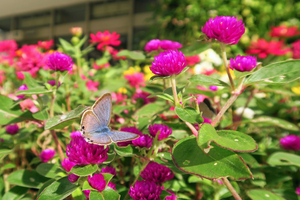 019_251028105 X900 〇保土ヶ谷区役所 G7x.jpg