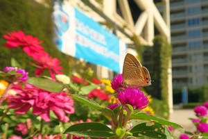 021_251103100 X900 保土ヶ谷区役所 G7X.jpg