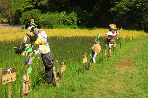 001_250926005 X900 〇案山子 G7X.jpg