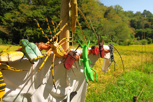 003_250926012 X900 〇案山子 G7X.jpg