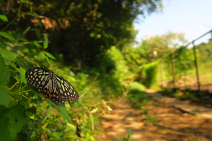 004_250926027 X900 アカボシ G7X.jpg