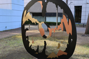 005_251127013 X900 YBP Z30 Z16-50.jpg