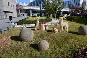 007_251127016 X900 YBP Z30 Z16-50.jpg