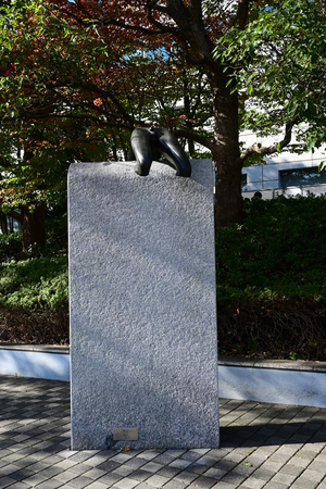 010_251127024 X900 YBP Z30 Z16-50.jpg