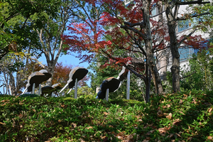 014_251127049 X900 YBP Z30 Z16-50.jpg