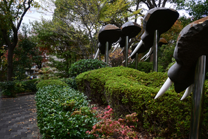 019_251119065 X900 YBP D30 16-50.jpg