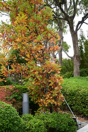 020_251119068 X900 YBP D30 16-50.jpg