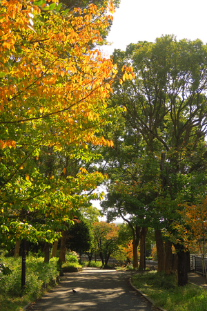 028_251107019 X900 〇帷子川 YBP G7X.jpg