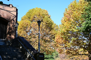 002_251121004 X900 日比谷公会堂 Z30 16-50.jpg