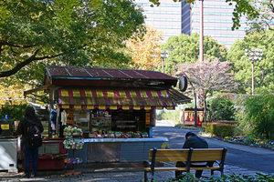 012_251121057 X900 日比谷公園 Z30 16-50.jpg