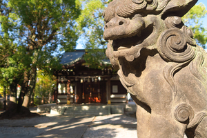 022_251107002 X900 〇橘樹神社 G7X.jpg