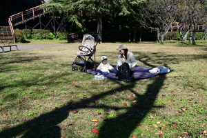 010_251126054t X900 〇保土ヶ谷公園 梅林 D50 Z18-140.jpg